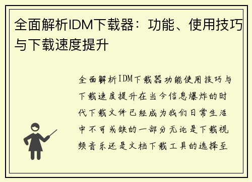 全面解析IDM下载器：功能、使用技巧与下载速度提升